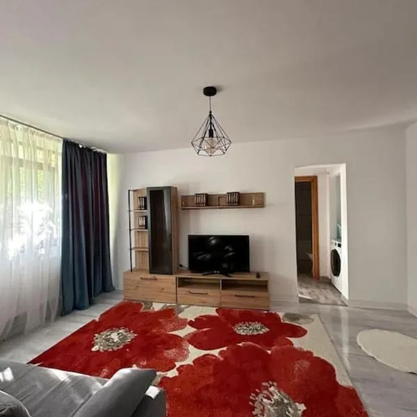 2-rooms apartment，位于Şendreni的酒店