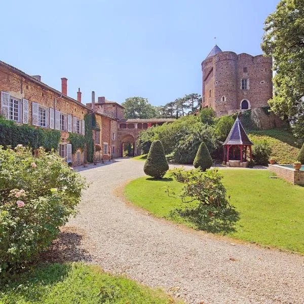 Château du Montellier，位于Birieux的酒店