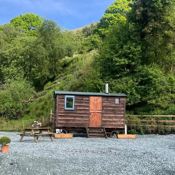 Berwyn Shepherds Hut，位于Llanrhaeadr-ym-Mochnant的酒店