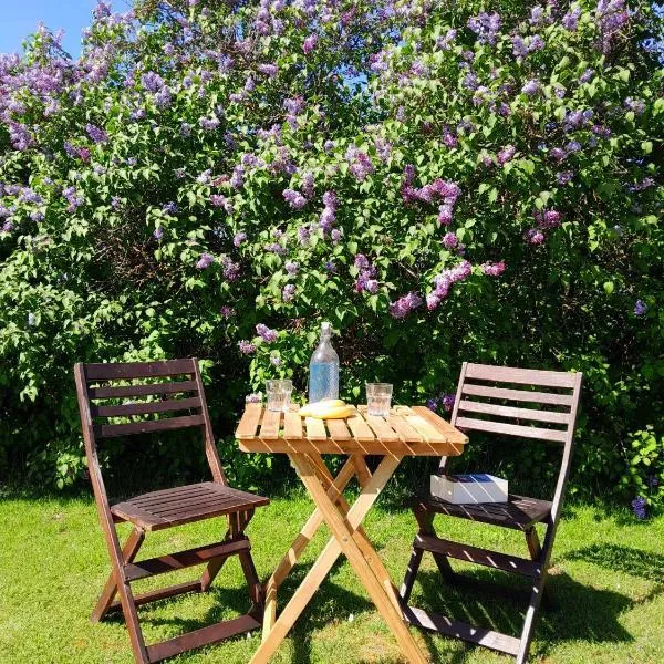 Villa Vi apartment 2，位于维默比的酒店