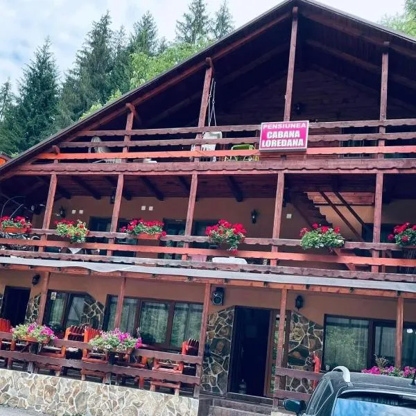 Cabana Loredana，位于Roşia Montană的酒店