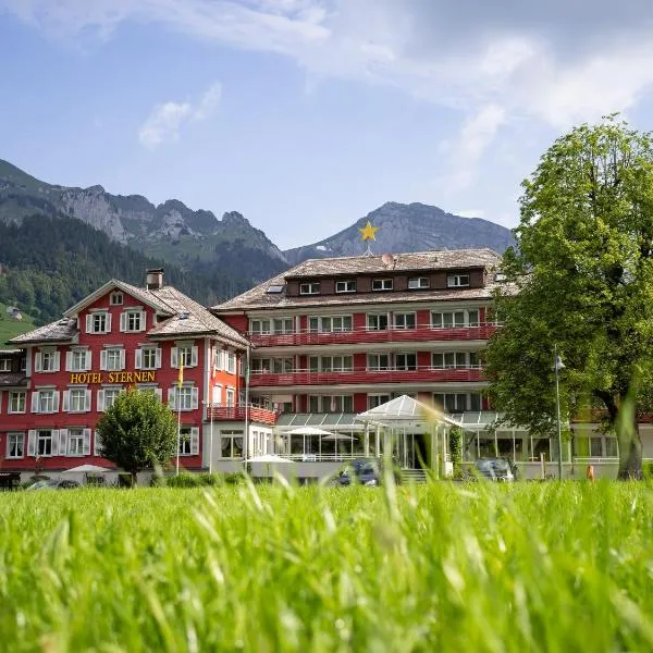 斯特恩安特瓦塞尔酒店，位于施韦格阿尔卑的酒店
