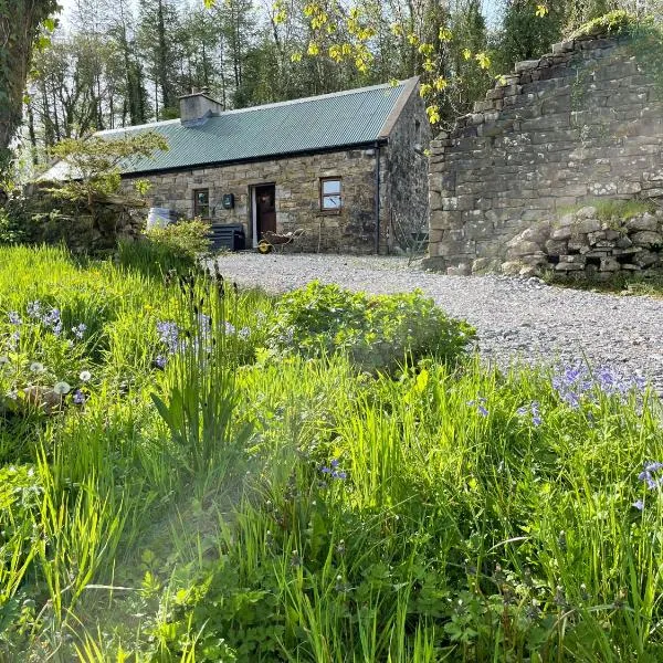 Na Fianna Traditional Irish Cottage，位于Cornahaw的酒店