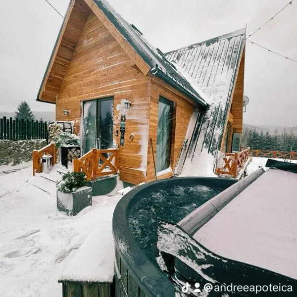 LA CABANE，位于Comandău的酒店