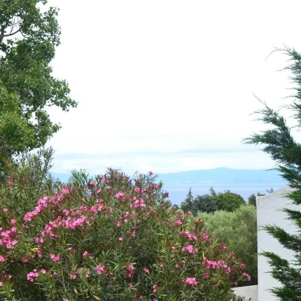 Summer House with sea view and garden，位于波塞蒂的酒店