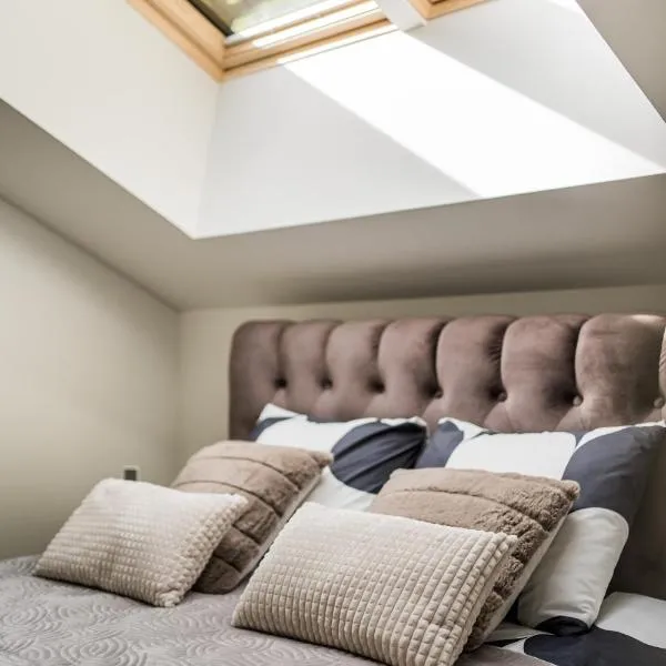 Riverra House - Two-bedroom Apartment，位于考纳斯的酒店