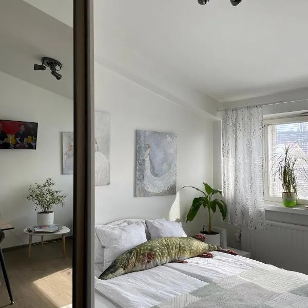 VesiLahti RoofLevel Apartment，位于拉赫蒂的酒店