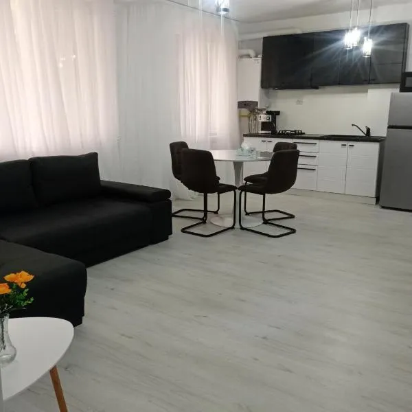 Apartament Pro Confort，位于图尔恰的酒店