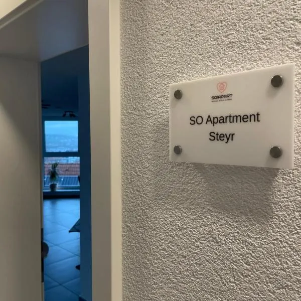 SO Apartment Steyr，位于施泰尔的酒店