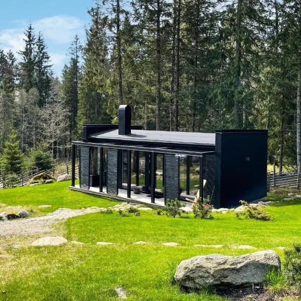 Awesome Home In Fristad With Kitchen，位于Tämta的酒店