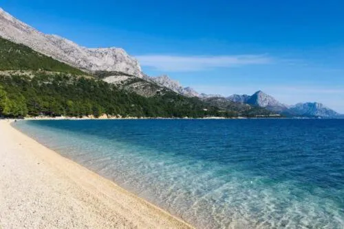 Kempové domky pod olivovníky s kuchyňkou, klimatizací, 80m od pláže! - Camp Dole, Živogošće，位于兹沃格谢的酒店