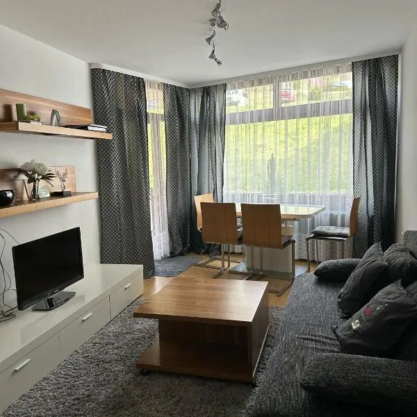 2 Zimmer Appartement mit Pool im Haus，位于施卢赫湖的酒店