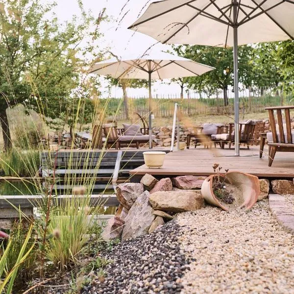 BioWeingut & Landhotel Gänz，位于Hackenheim的酒店