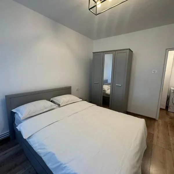 Peony Apartament，位于克拉约瓦的酒店