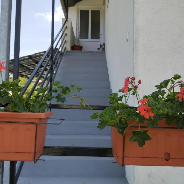 Banja Vrujci Apartmani Nikolic，位于Popadić的酒店