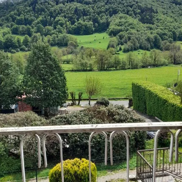 Chambre d'hôte dans le Cantal vallée de la Maronne，位于圣马丹-瓦尔姆鲁的酒店