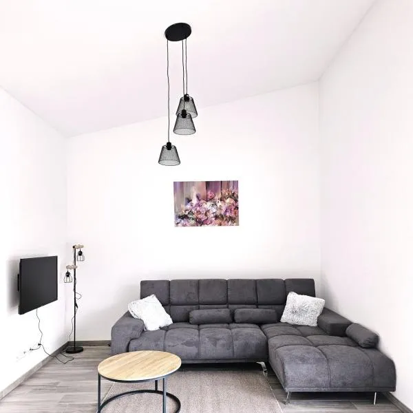 MY HOME AM HEUBERG Nr 6，位于Frittlingen的酒店