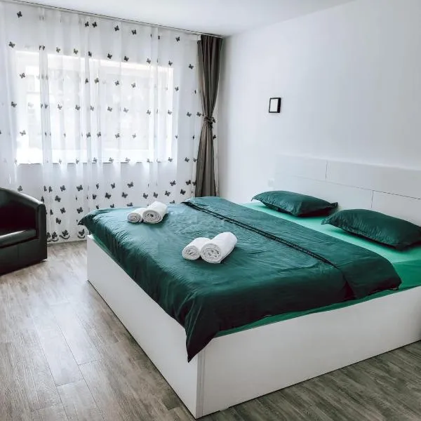 Cosy apartment Fagaras，位于Rîuşor的酒店