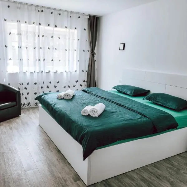 Cosy apartment Fagaras，位于Mîndra的酒店