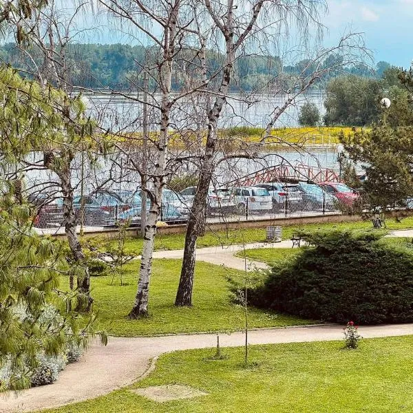 Plavi Dunav，位于Stari Slankamen的酒店