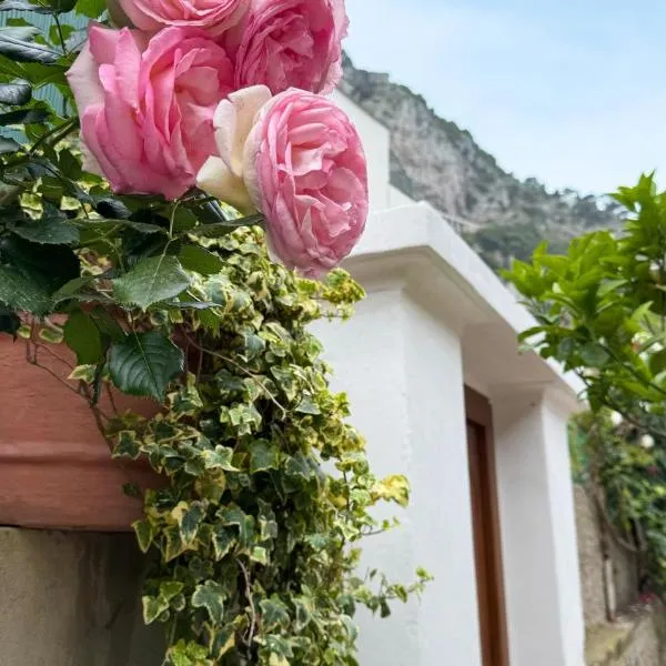 Il Cigno B&B，位于卡普里的酒店