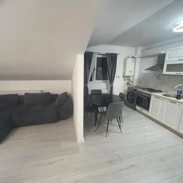 APARTAMENT 2 CAMERE TIRGU JIU，位于Bumbeşti-Jiu的酒店