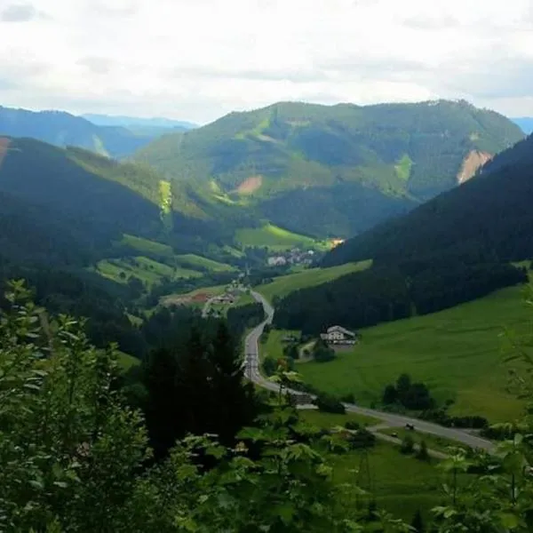 Charmante Ferienwohnung in Vordernberg - Alpenidylle pur，位于Oberort的酒店