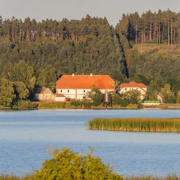 Zájezdní hostinec U Labutě Myštice，位于斯特拉科尼采的酒店