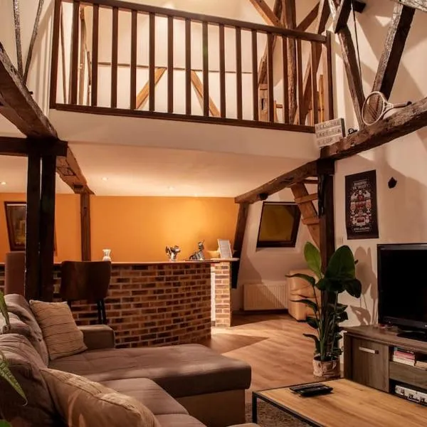 Duplex atypique dans la cité médiévale，位于拉昂的酒店