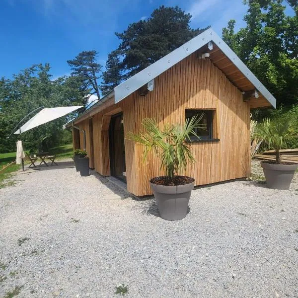 Lodge du Château de Feschaux，位于Villeneuve-sous-Pymont的酒店