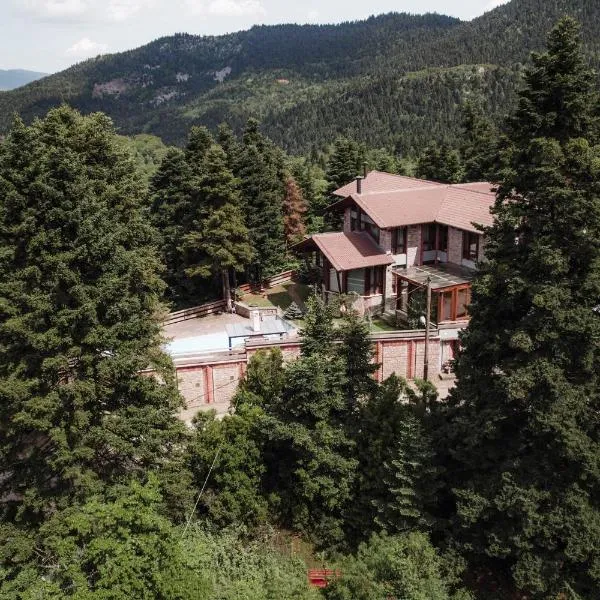 Pavliani Cliffside Retreat，位于帕弗兰尼的酒店