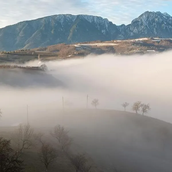 Casa din Livadă, Poiana Mărului, Brasov，位于波亚纳默鲁卢伊的酒店