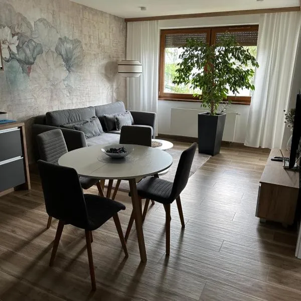 Apartament Sosnowy Zakątek，位于格利维采的酒店