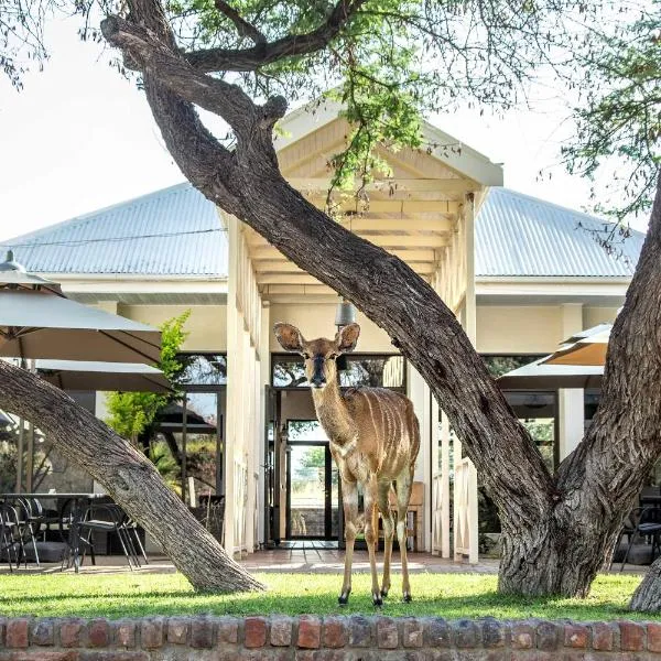 Otjibamba Lodge，位于奥奇瓦龙戈的酒店