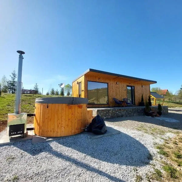 Cozy Cube - tiny house，位于Şaru Dornei的酒店