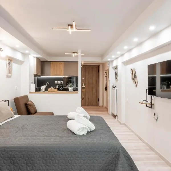 ΕΥ. CENTRAL STUDIO，位于拉里萨的酒店