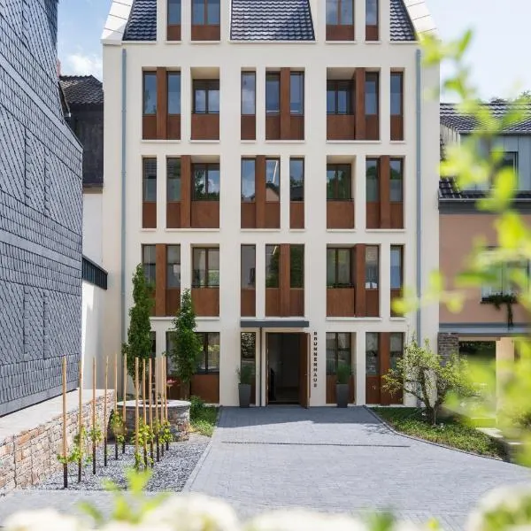 Ruland's Brunnenhaus，位于阿尔特纳尔的酒店