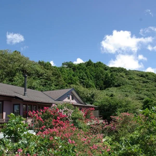 马氏奥度假酒店，位于大岛的酒店