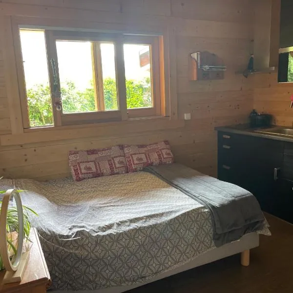 Studio 1 pièce situé dans un chalet，位于BEAUFORT的酒店