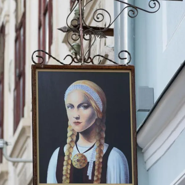 维拉凯塔琳娜酒店，位于布拉索夫的酒店