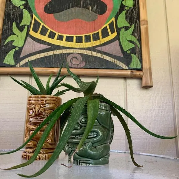 Hau'oli Place Tiki Cottage in Volcano，位于沃尔卡诺的酒店