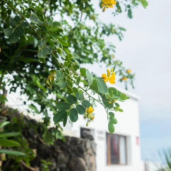 Casa Rural Yeyo en el cráter del volcán，位于Caleta de Caballo的酒店