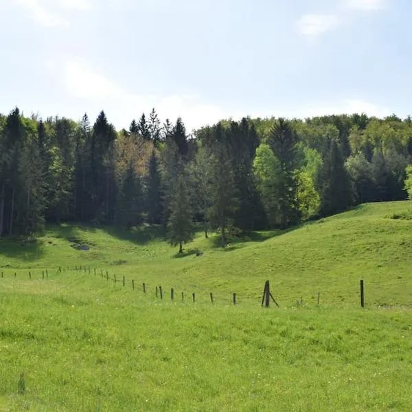 Apartma podeželje，位于Podslivnica的酒店