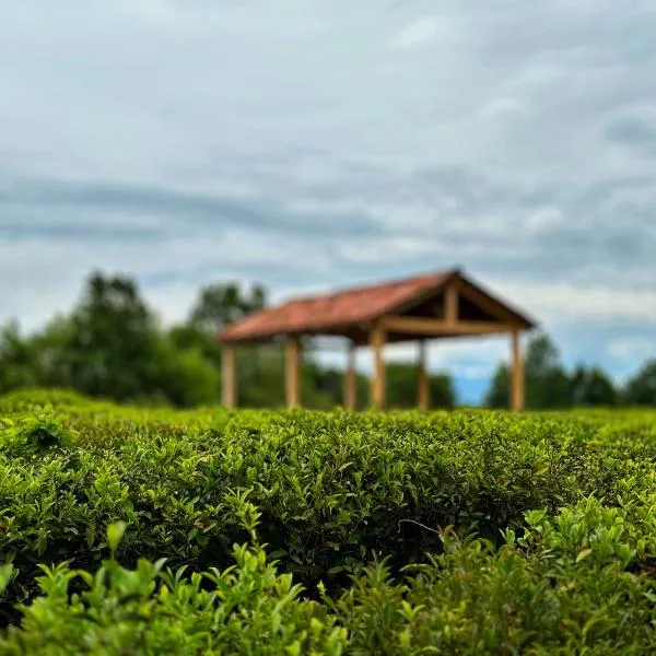 Tea Gezruli，位于Alisubani的酒店