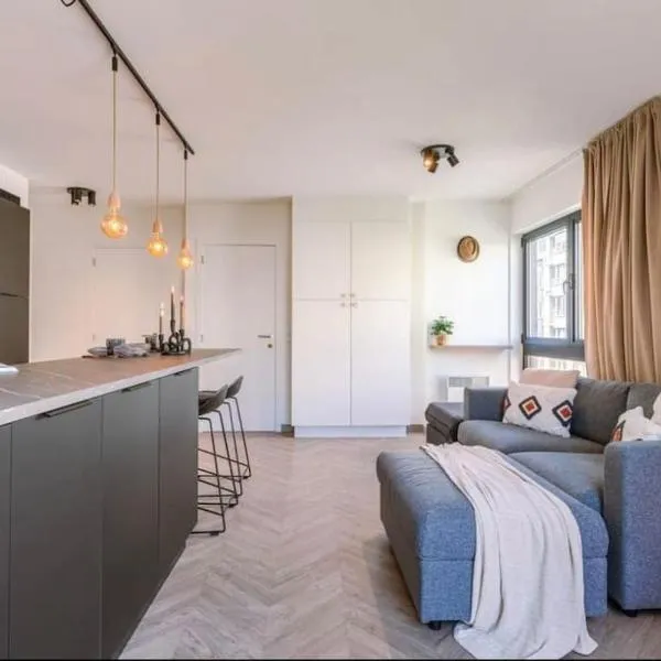 Comfortabel appartement in centrum vlakbij strand，位于奥斯坦德的酒店