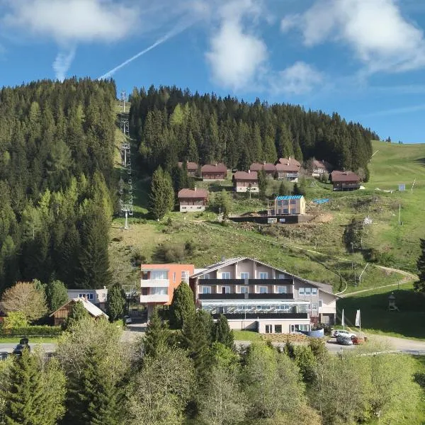 Hotel Alpengasthof Hochegger，位于Leiwald的酒店