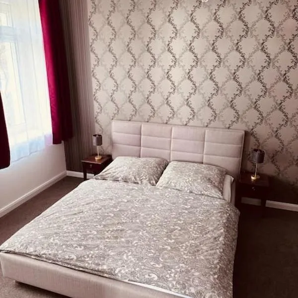 Ferienwohnung Cosel，位于皮尔纳的酒店