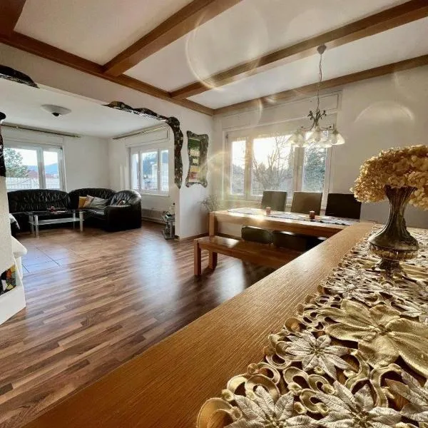 Wohnung Mosesbrunnen，位于Barnbäch的酒店