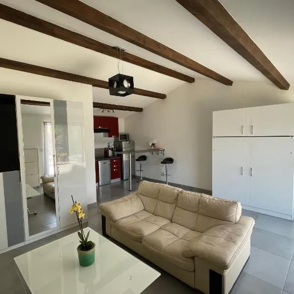 Studio charmant avec terrasse，位于朗松普罗旺斯的酒店