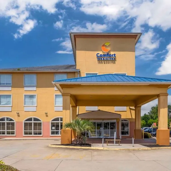 Comfort Inn & Suites Chesapeake - Portsmouth，位于切萨皮克的酒店